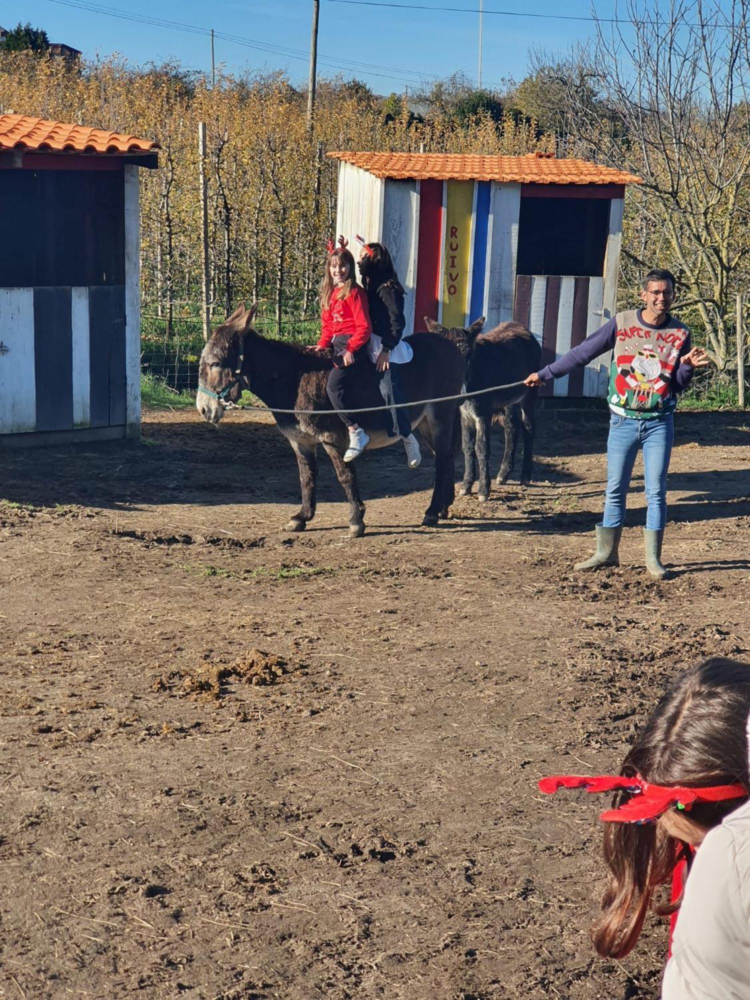 Gojim Casa Rural Армамар Екстер'єр фото